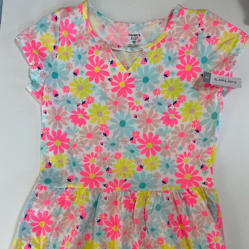 NWT Carter’s dress.